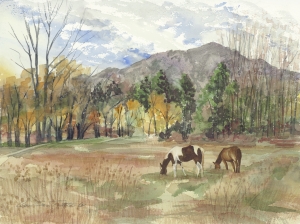 East Boulder Recreation Center View