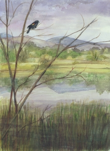 Sawhill Ponds, Boulder