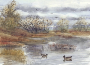 Waneka Lake Scene
