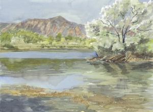 Walden Ponds, Boulder
